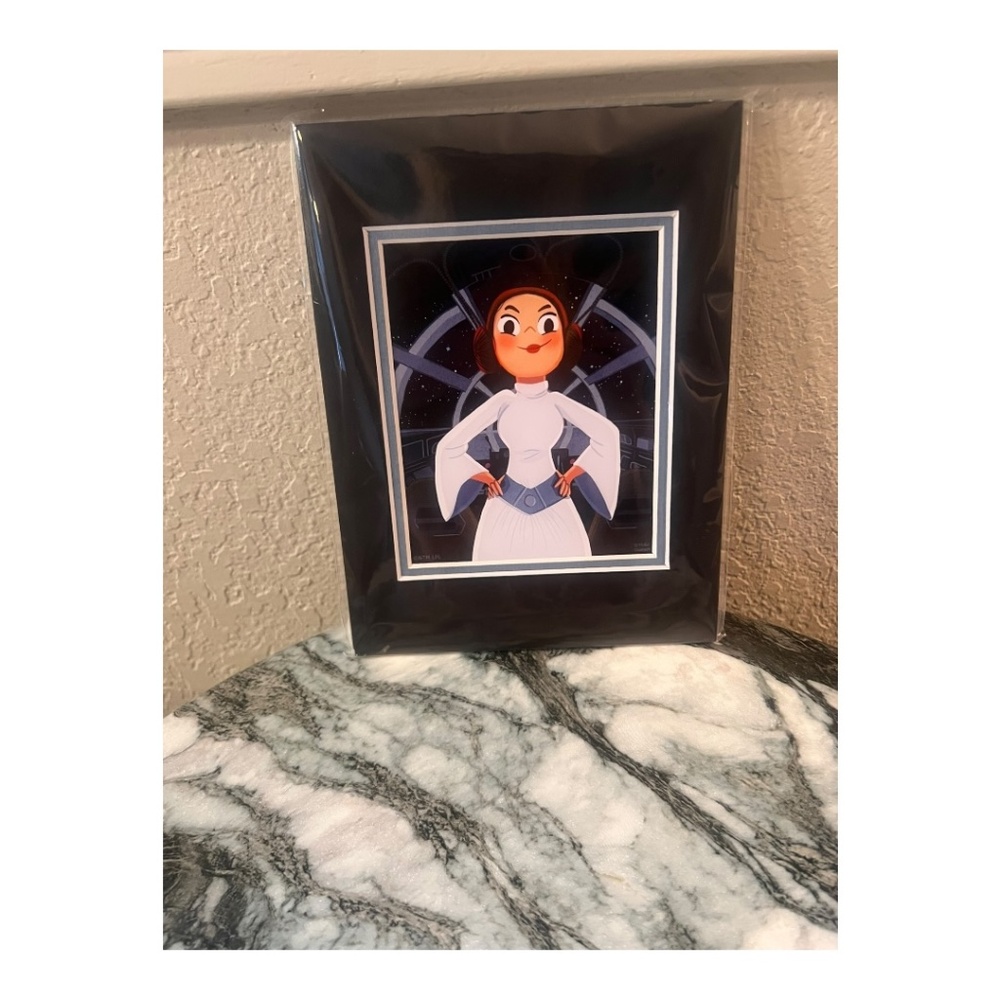 Disney Star Wars Princess Leia Power of Resistance Art Print Nidhi Chanani 6x8